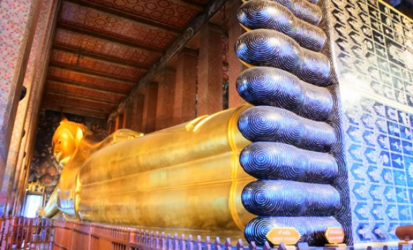 三大寺院と王宮を巡るバンコク市内観光 + 世界遺産アユタヤ遺跡 + 象乗り体験＜日本語ガイド/1日/選べる昼食付き＞