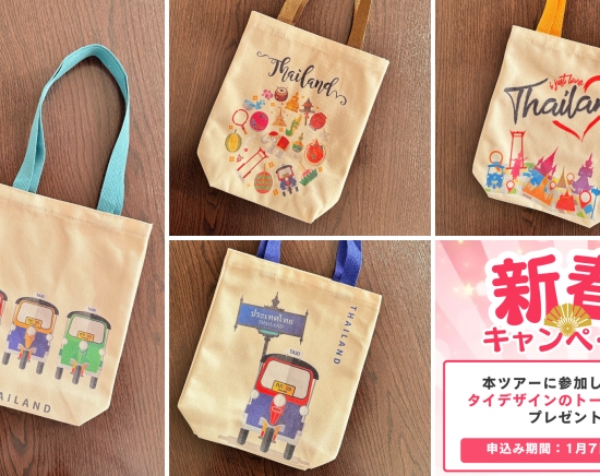 **先着100名様限定！トートバッグプレゼント** ボートに乗って象に会いに行こう！世界遺産アユタヤ遺跡半日観光 ＜日本語ガイド/午後半日/ボート遊覧＞