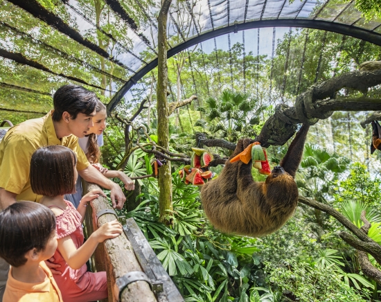 世界でも珍しい 柵のない動物園「シンガポール動物園」＜午前半日/日本語ガイド/トラム乗車/動物たちとの朝食付きプランあり/リバーワンダーチケット付きプランあり＞