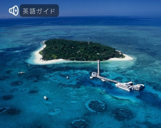 大人気！世界遺産グリーン島ディスカバリーツアー