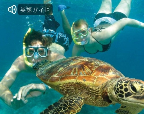 世界遺産グリーン島エコアドベンチャー