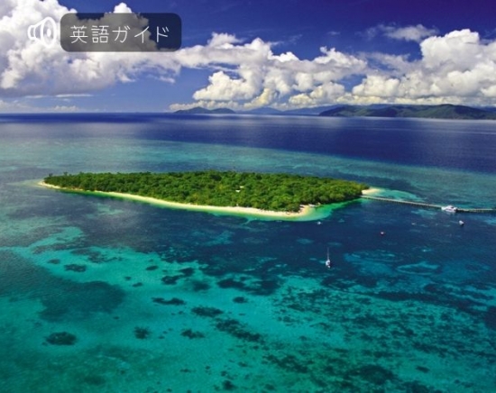 グリーン島の外まで満喫！グリーン島とアウターリーフツアー