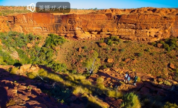 エアーズロック発キングスキャニオンツアー