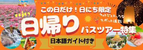 日にち限定！日帰りツアー